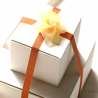 �����x�����ƃC���[�W